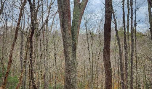 Photo #6 of 3763 POTOMAC RIVER RD, MONTEREY, VA 16.6 acres