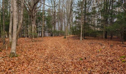 Photo #12 of 3763 POTOMAC RIVER RD, MONTEREY, VA 16.6 acres