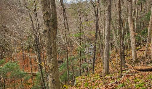 Photo #9 of 3763 POTOMAC RIVER RD, MONTEREY, VA 16.6 acres