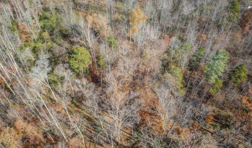 Photo #21 of PORTERS RD, ESMONT, VA 5.6 acres