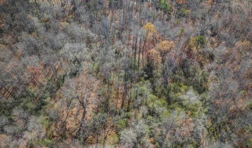 Photo #17 of PORTERS RD, ESMONT, VA 5.6 acres