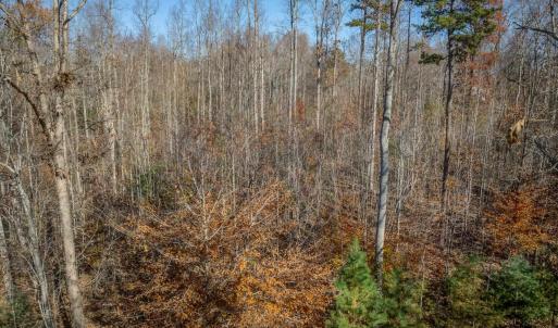 Photo #25 of PORTERS RD, ESMONT, VA 5.6 acres