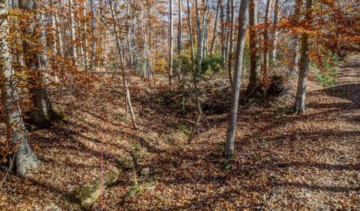 Photo #7 of PORTERS RD, ESMONT, VA 5.6 acres