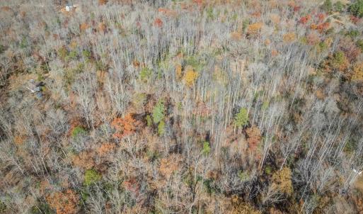 Photo #12 of PORTERS RD, ESMONT, VA 5.6 acres