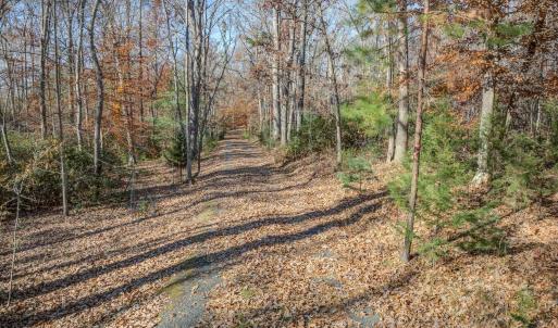 Photo #4 of PORTERS RD, ESMONT, VA 5.6 acres