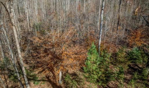 Photo #24 of PORTERS RD, ESMONT, VA 5.6 acres