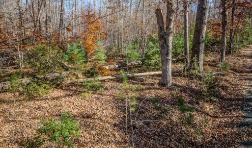 Photo #8 of PORTERS RD, ESMONT, VA 5.6 acres