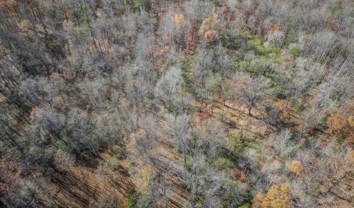 Photo #18 of PORTERS RD, ESMONT, VA 5.6 acres