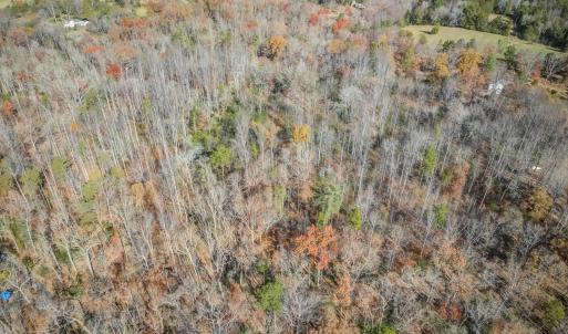 Photo #11 of PORTERS RD, ESMONT, VA 5.6 acres