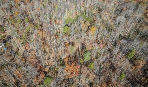 Photo #10 of PORTERS RD, ESMONT, VA 5.6 acres