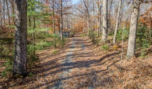Photo #6 of PORTERS RD, ESMONT, VA 5.6 acres