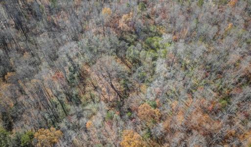 Photo #16 of PORTERS RD, ESMONT, VA 5.6 acres
