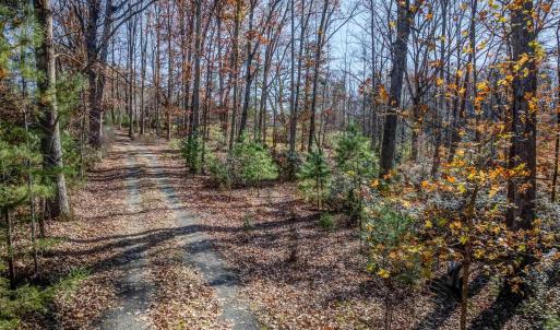 Photo #26 of PORTERS RD, ESMONT, VA 5.6 acres