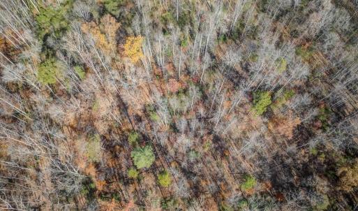 Photo #14 of PORTERS RD, ESMONT, VA 5.6 acres