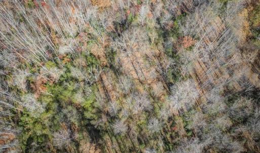 Photo #15 of PORTERS RD, ESMONT, VA 5.6 acres