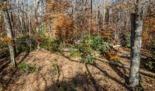 Photo #9 of PORTERS RD, ESMONT, VA 5.6 acres