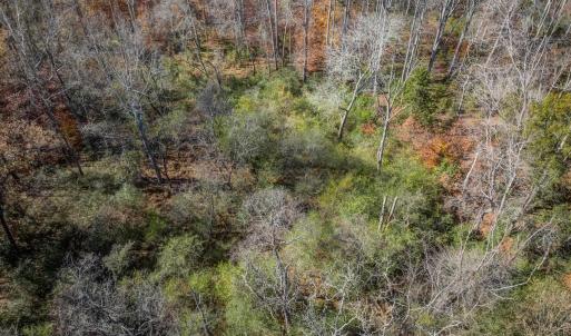Photo #19 of PORTERS RD, ESMONT, VA 5.6 acres