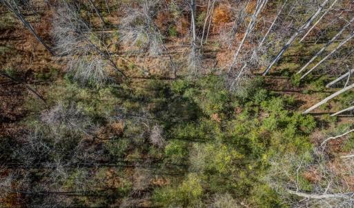 Photo #20 of PORTERS RD, ESMONT, VA 5.6 acres