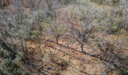 Photo #1 of PORTERS RD, ESMONT, VA 5.6 acres