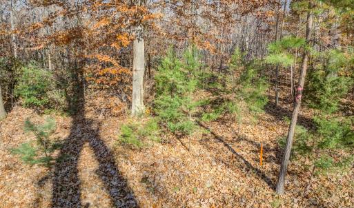 Photo #5 of PORTERS RD, ESMONT, VA 5.6 acres