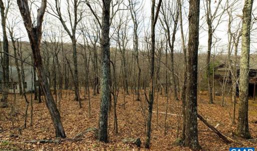 Photo #3 of 105 DEN TREE LN, WINTERGREEN RESORT, VA 0.4 acres