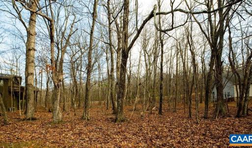 Photo #4 of 105 DEN TREE LN, WINTERGREEN RESORT, VA 0.4 acres