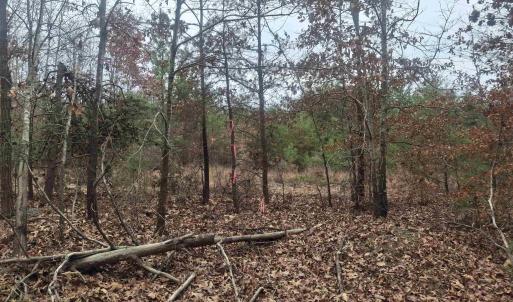 Photo #3 of INDIAN PIPE RUN, PALMYRA, VA 21.1 acres