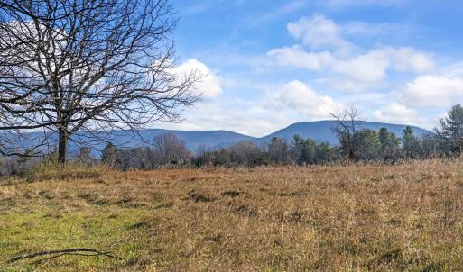 Photo #2 of BIBB FARM LN, WAYNESBORO, VA 12.7 acres