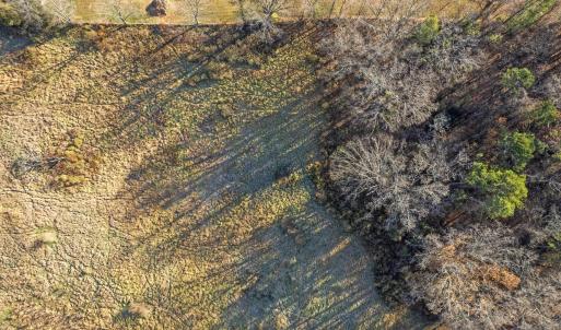 Photo #8 of BIBB FARM LN, WAYNESBORO, VA 12.7 acres