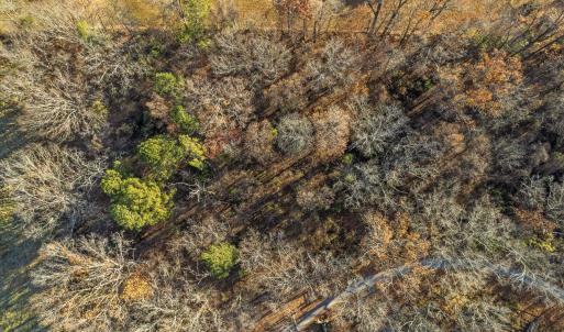 Photo #7 of BIBB FARM LN, WAYNESBORO, VA 12.7 acres