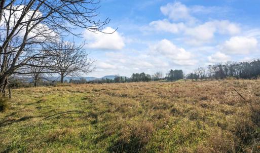 Photo #3 of BIBB FARM LN, WAYNESBORO, VA 12.7 acres