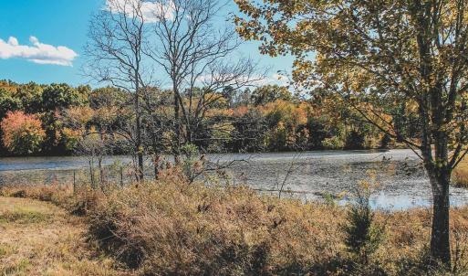 Photo #13 of Lot 17 ROLLING RD S, SCOTTSVILLE, VA 17.4 acres