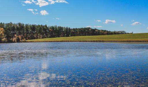 Photo #19 of Lot 17 ROLLING RD S, SCOTTSVILLE, VA 17.4 acres