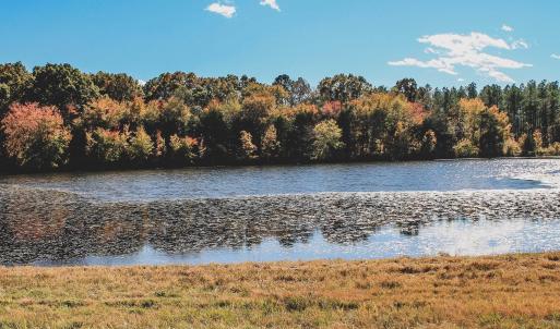 Photo #14 of Lot 17 ROLLING RD S, SCOTTSVILLE, VA 17.4 acres