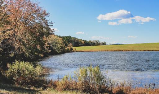 Photo #21 of Lot 17 ROLLING RD S, SCOTTSVILLE, VA 17.4 acres