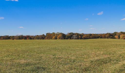 Photo #18 of Lot 16 BRIERY CREEK RD, SCOTTSVILLE, VA 20.1 acres