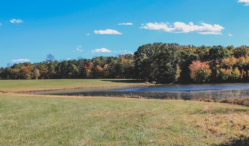 Photo #22 of Lot 16 BRIERY CREEK RD, SCOTTSVILLE, VA 20.1 acres