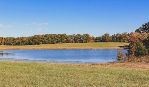 Photo #6 of Lot 16 BRIERY CREEK RD, SCOTTSVILLE, VA 20.1 acres
