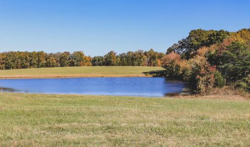 Photo #7 of Lot 16 BRIERY CREEK RD, SCOTTSVILLE, VA 20.1 acres