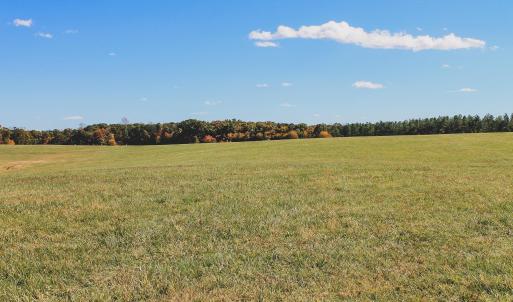 Photo #16 of Lot 16 BRIERY CREEK RD, SCOTTSVILLE, VA 20.1 acres