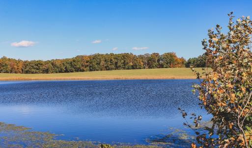 Photo #14 of Lot 16 BRIERY CREEK RD, SCOTTSVILLE, VA 20.1 acres