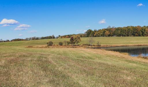Photo #19 of Lot 16 BRIERY CREEK RD, SCOTTSVILLE, VA 20.1 acres