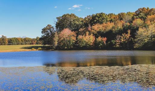 Photo #13 of Lot 16 BRIERY CREEK RD, SCOTTSVILLE, VA 20.1 acres