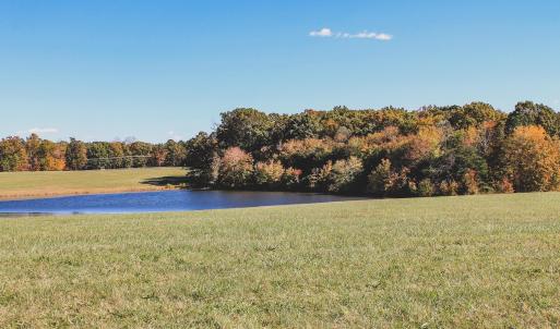 Photo #5 of Lot 16 BRIERY CREEK RD, SCOTTSVILLE, VA 20.1 acres