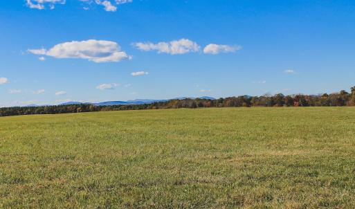 Photo #8 of Lot 16 BRIERY CREEK RD, SCOTTSVILLE, VA 20.1 acres