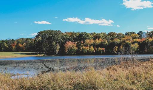 Photo #21 of Lot 16 BRIERY CREEK RD, SCOTTSVILLE, VA 20.1 acres