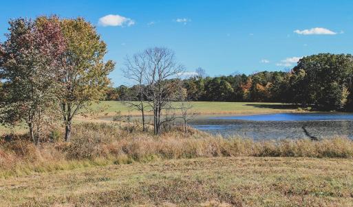 Photo #20 of Lot 16 BRIERY CREEK RD, SCOTTSVILLE, VA 20.1 acres