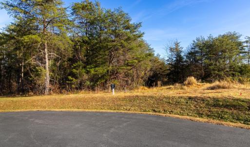 Photo #3 of lot 12 BARTHOLOMEW PL, STANARDSVILLE, VA 2.0 acres