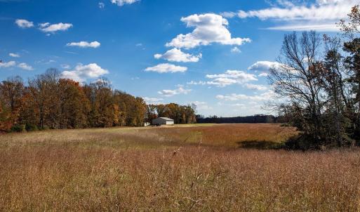 Photo #7 of 273 AIRSPORTS DR, AMHERST, VA 73.4 acres