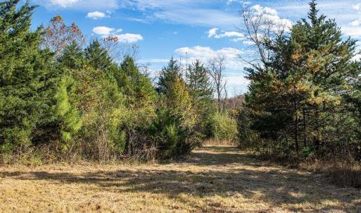 Photo #17 of 273 AIRSPORTS DR, AMHERST, VA 73.4 acres